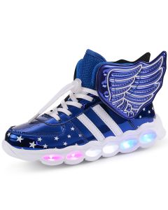 Rechargeable Led Shoes Buy Online