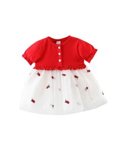 Baby Girl Cute Party Dress
